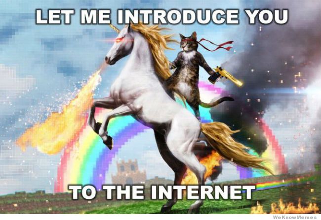 Let-Me-Introduce-You-To-The-Internet-Meme-01